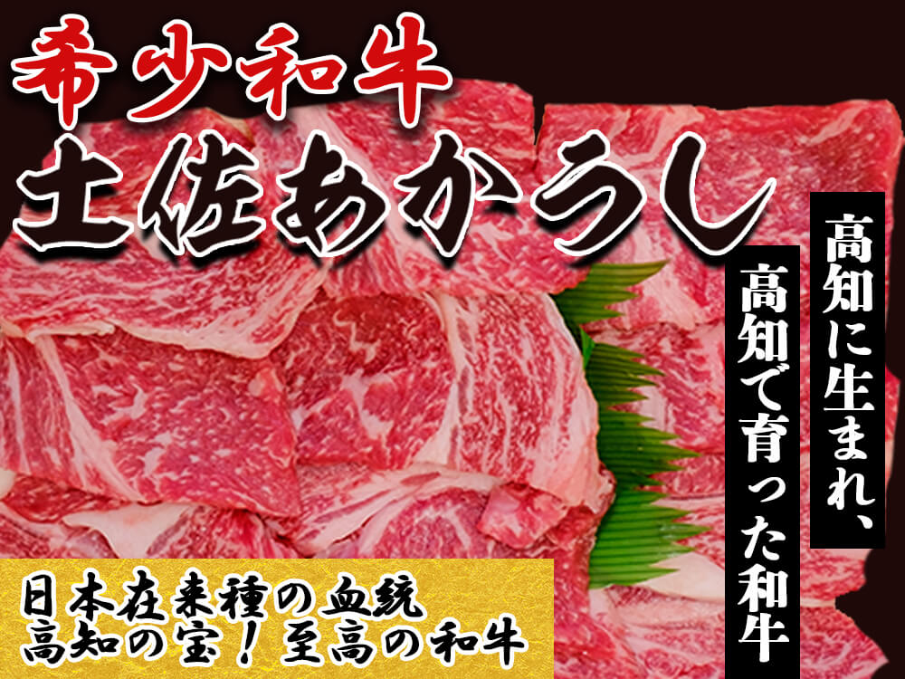 【希少和牛・土佐あかうし】焼肉用 ロース300g・カルビ300g