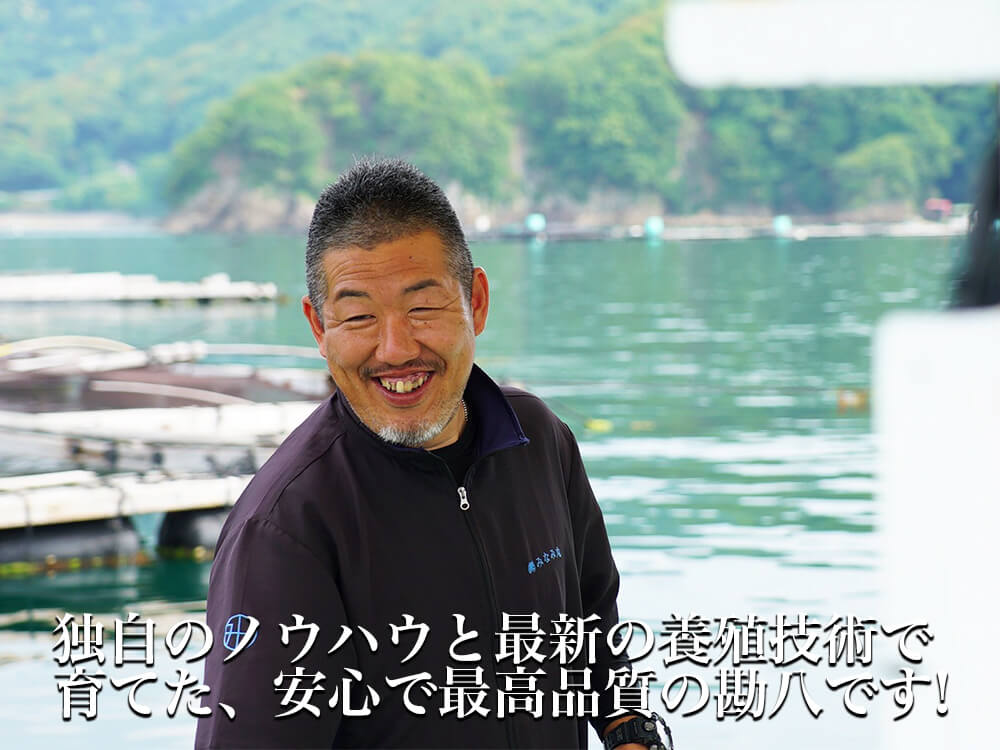 高知県産カンパチ 土佐勘八“極美”(きわみ) お刺身用 半身セット 醤油付【鮮魚】【カンパチ】