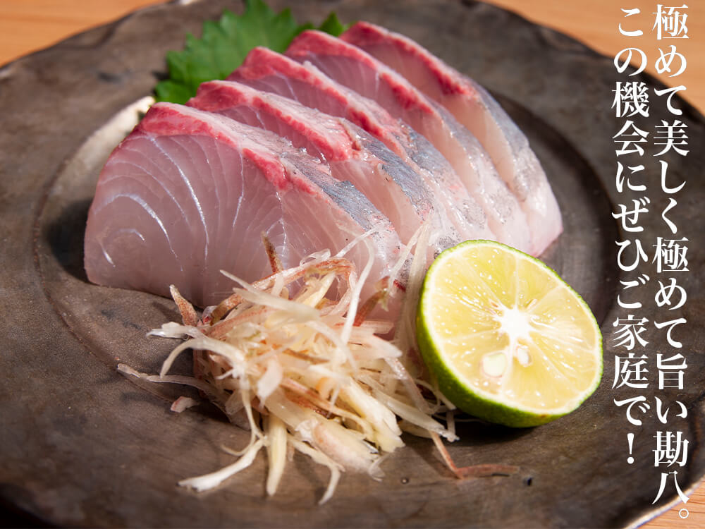 高知県産カンパチ 土佐勘八“極美”(きわみ) お刺身用 半身セット 醤油付【鮮魚】【カンパチ】