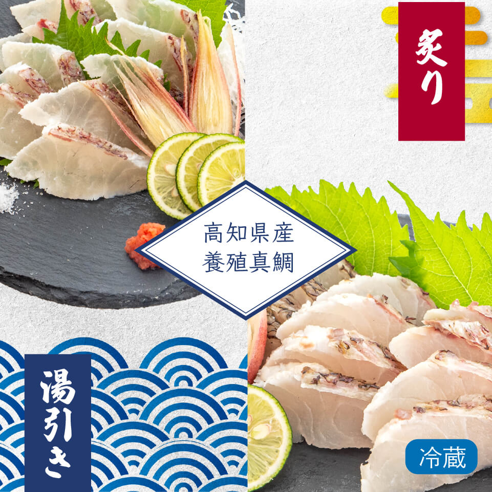 高知県産真鯛の炙り・湯引きセット 1尾分