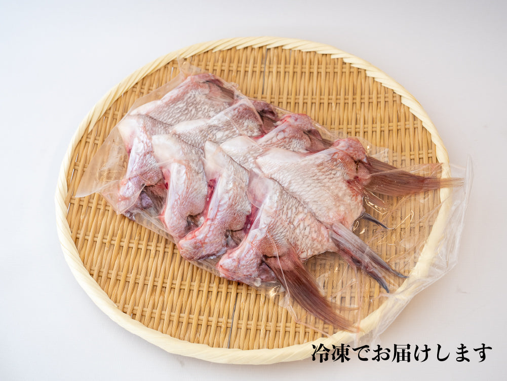 高知県産真鯛 カマ 8ケ入り