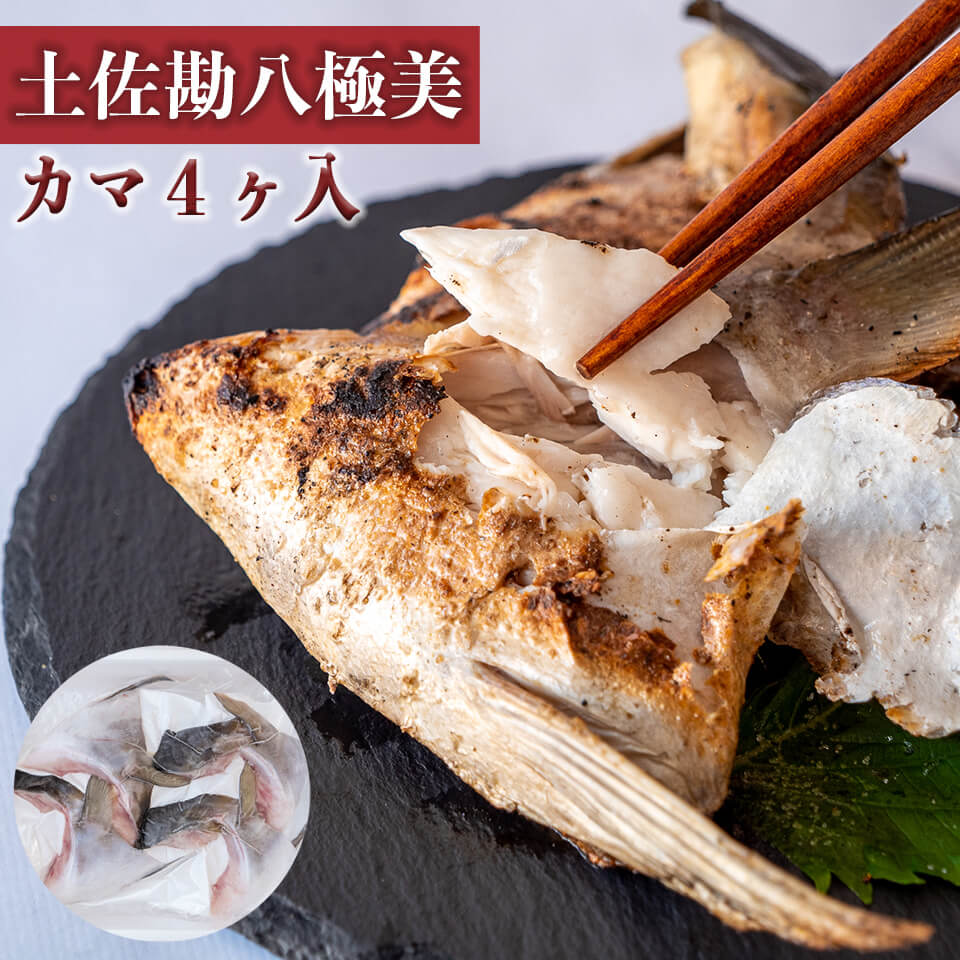 土佐勘八極美 カマ 4ケ入り【カンパチ】