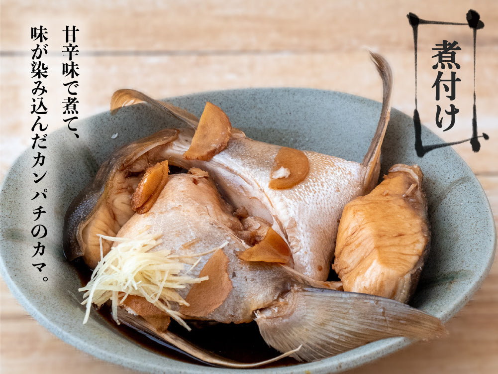 土佐勘八極美 カマ 4ケ入り【カンパチ】