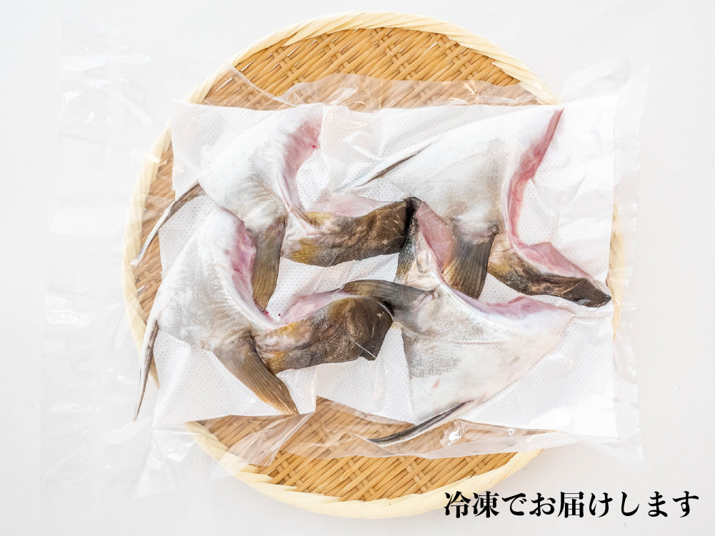 土佐勘八極美 カマ 4ケ入り【カンパチ】