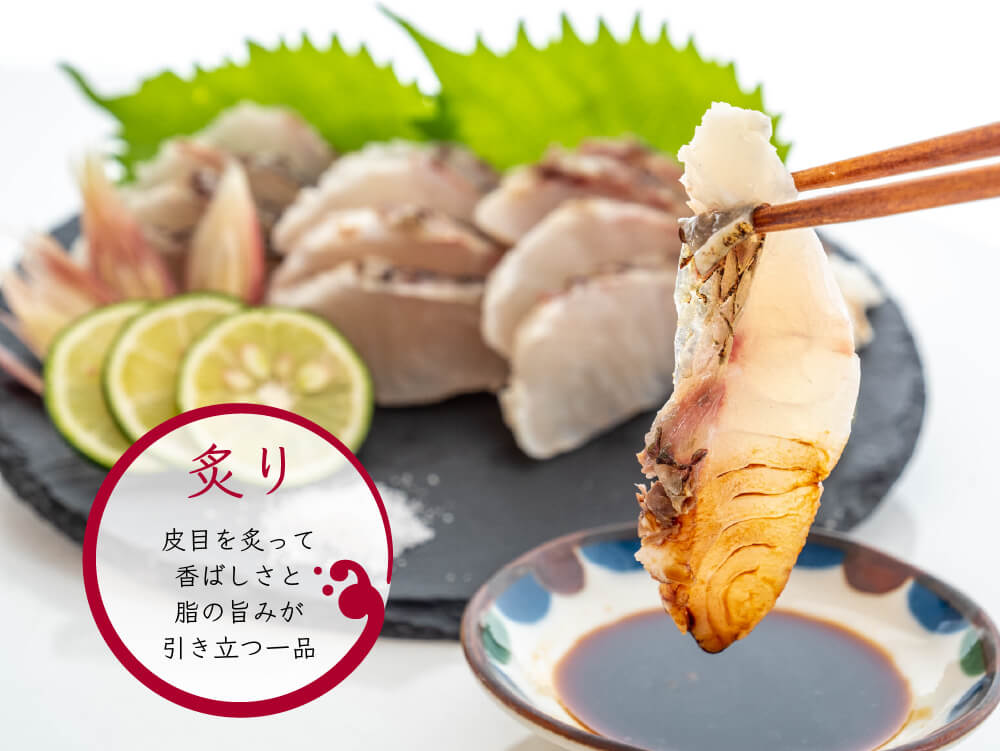 高知県産真鯛の炙り(半身分)