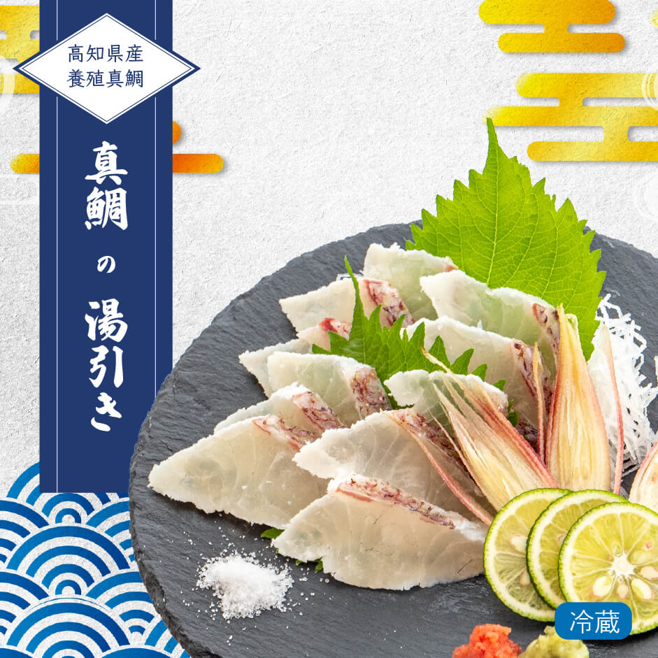 高知県産真鯛の湯引き(半身分)
