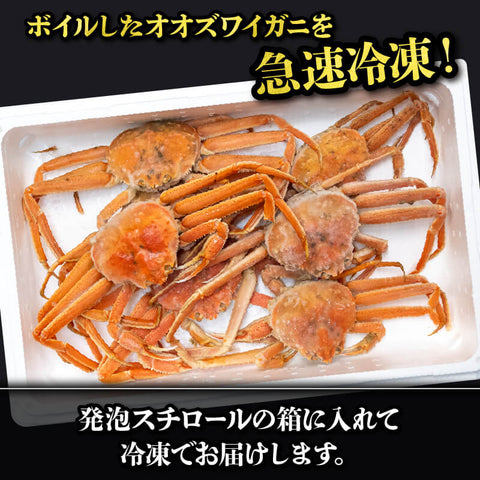 【販売再開!】北海道・噴火湾産 オオズワイガニ 無選別品 ボイル済み【冷凍配送】 2kg/4kg