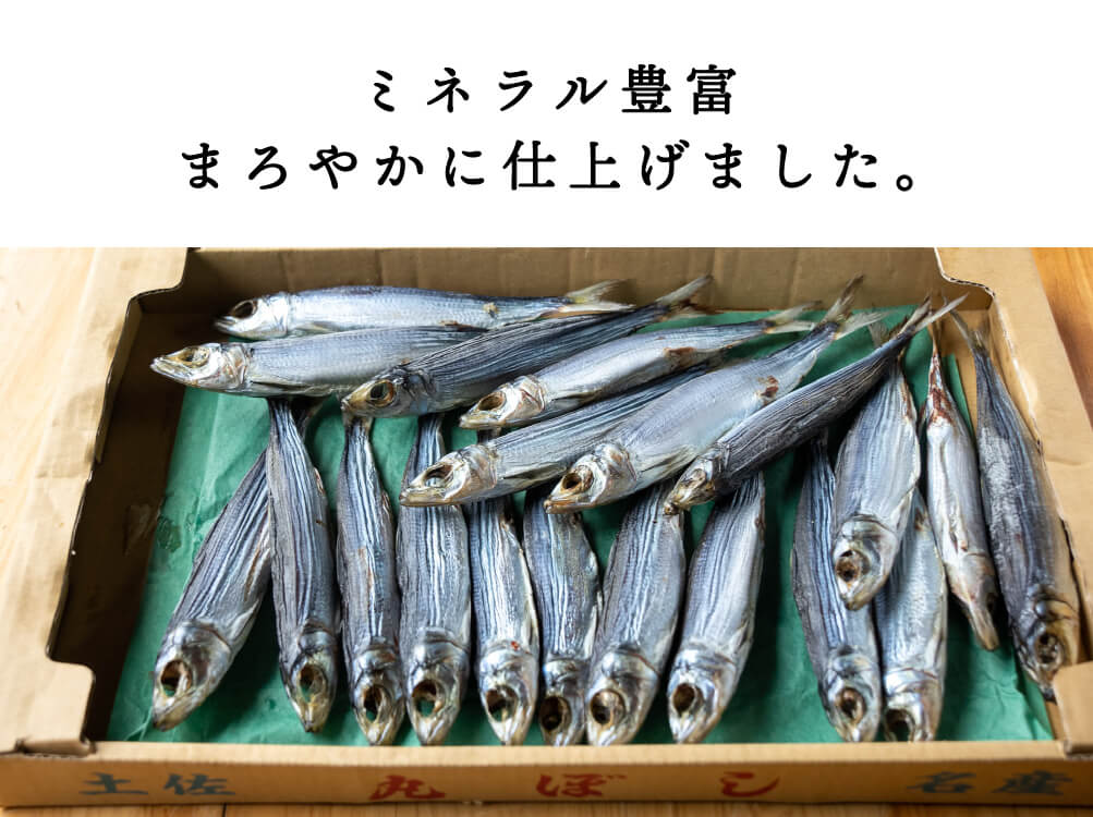うるめ丸干し