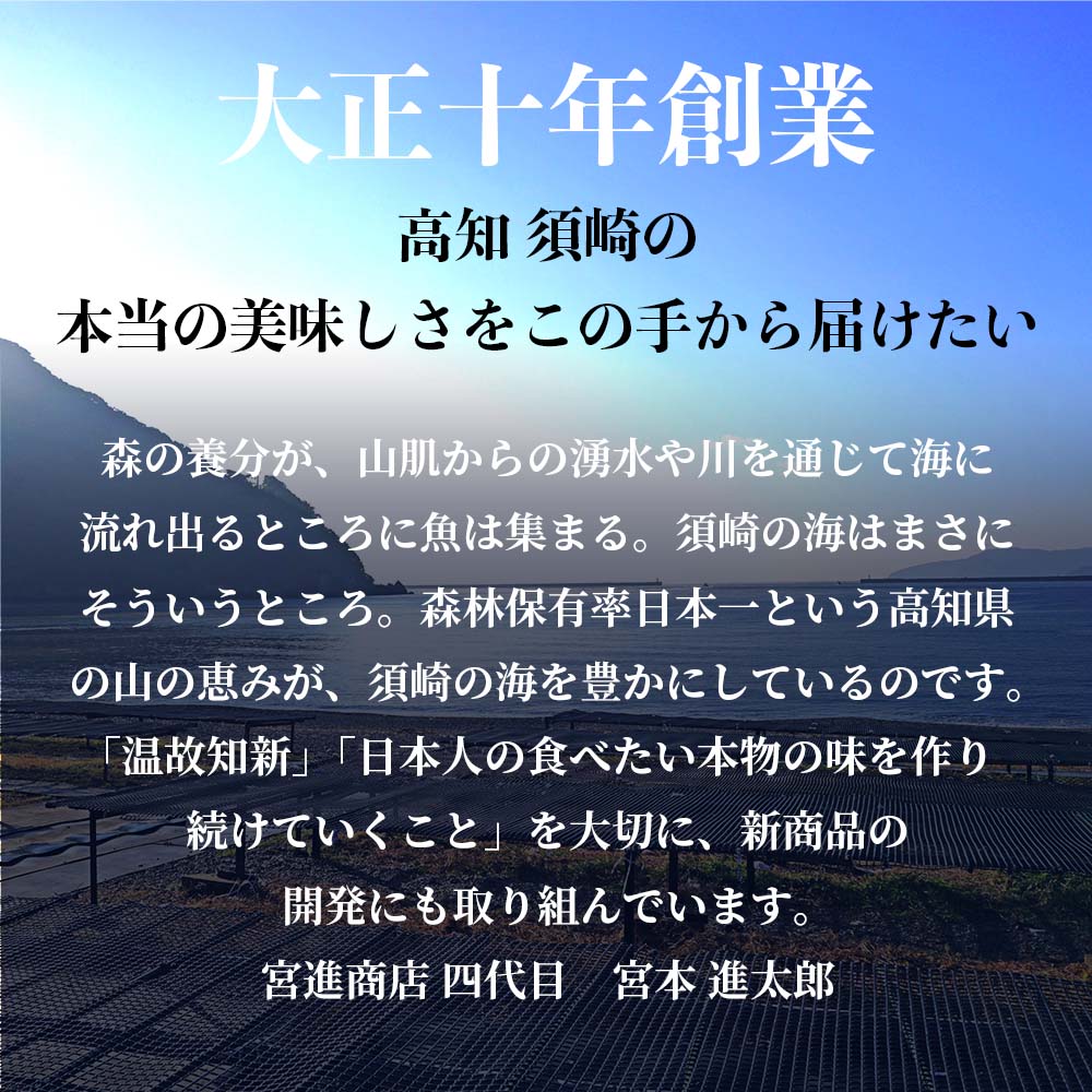 【高級珍味】宮進商店謹製 本からすみ 100g以上