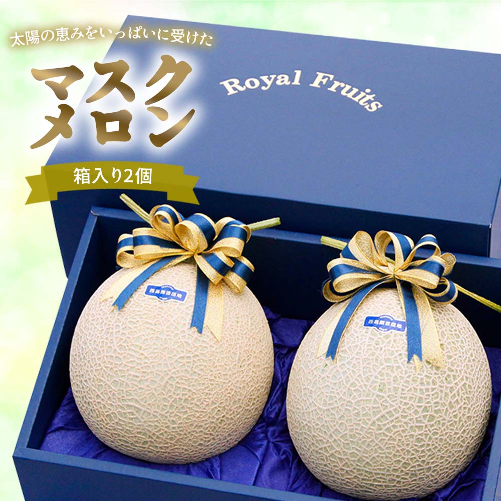 高級マスクメロン 1個 / 2個セット