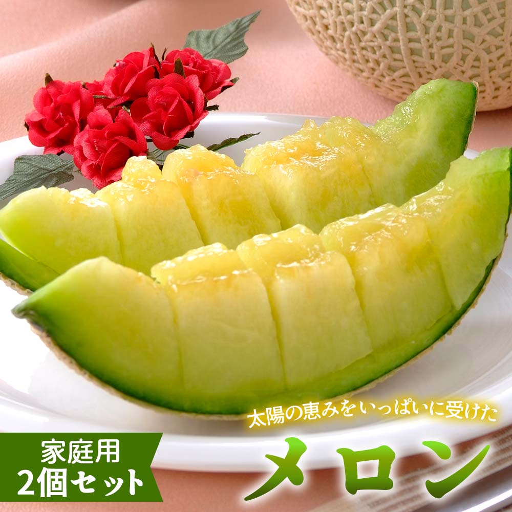 ご家庭用メロン2個セット【訳あり食品】