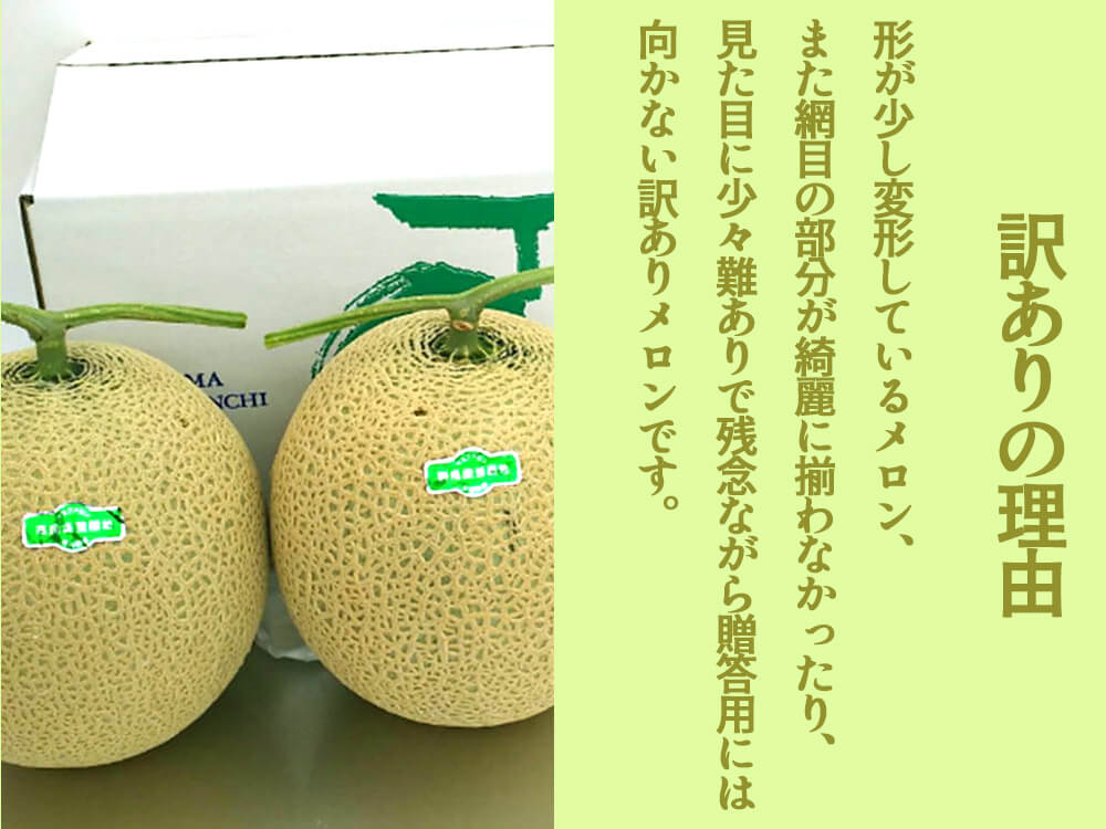 ご家庭用メロン2個セット【訳あり食品】