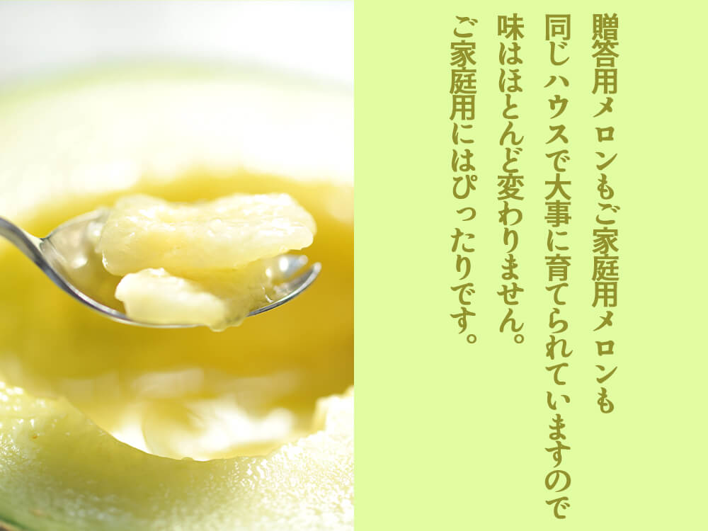ご家庭用メロン2個セット【訳あり食品】