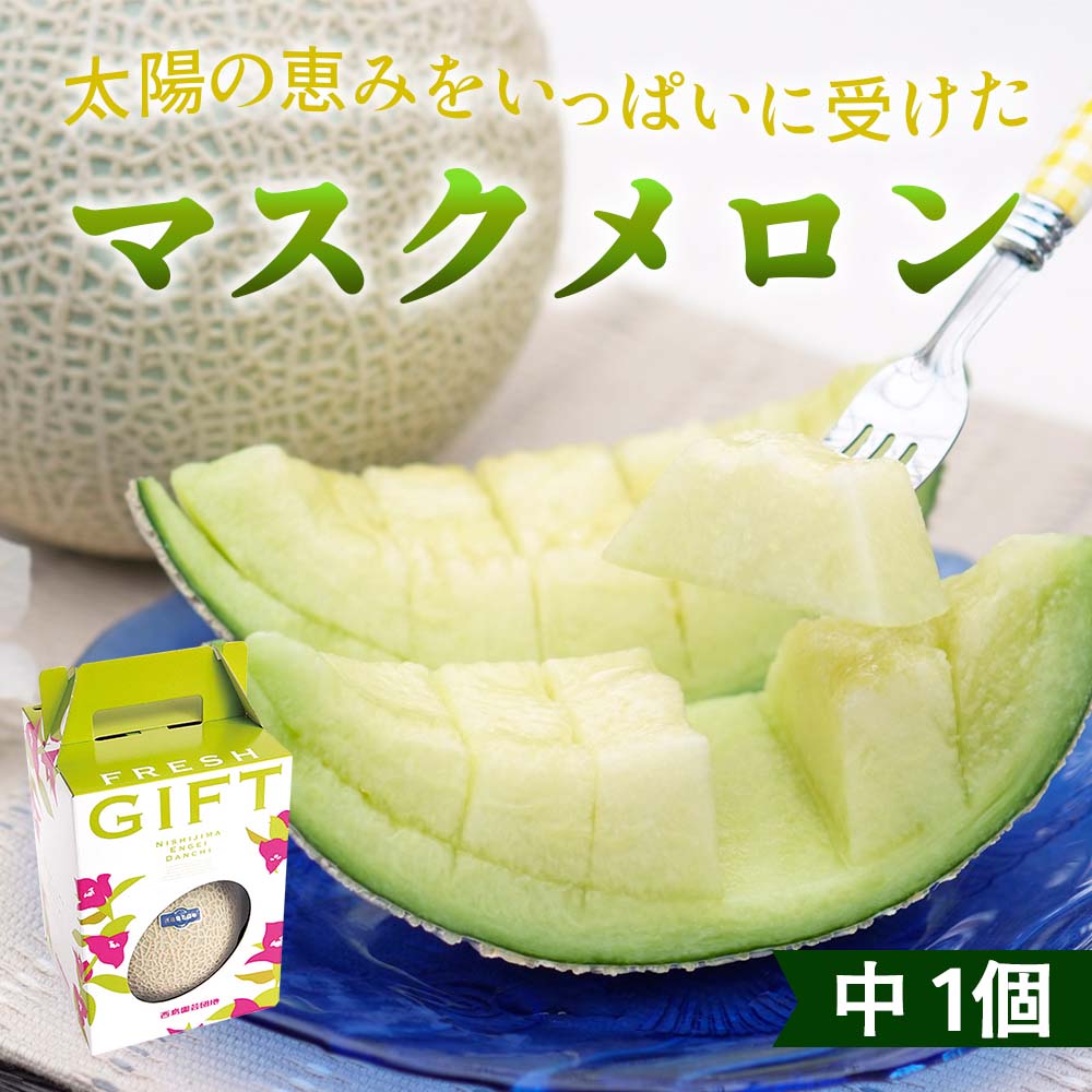 マスクメロン1個(中)