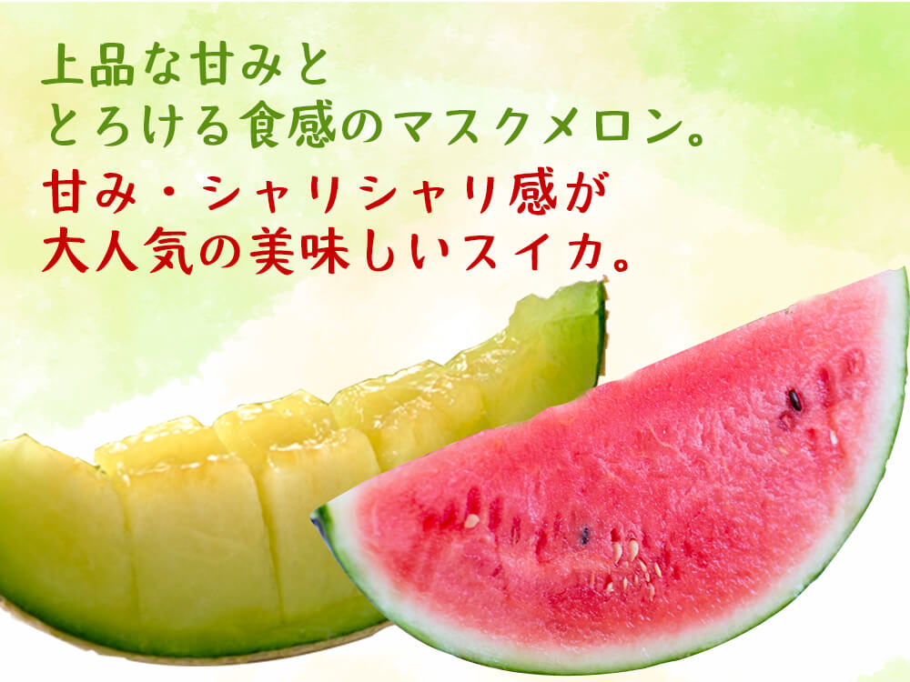 マスクメロン・スイカセット(中)