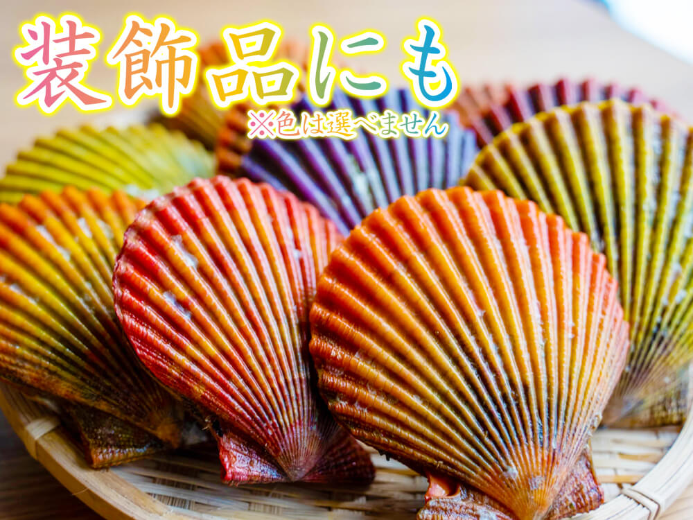 【BBQに最適!】長太郎貝10枚セット!