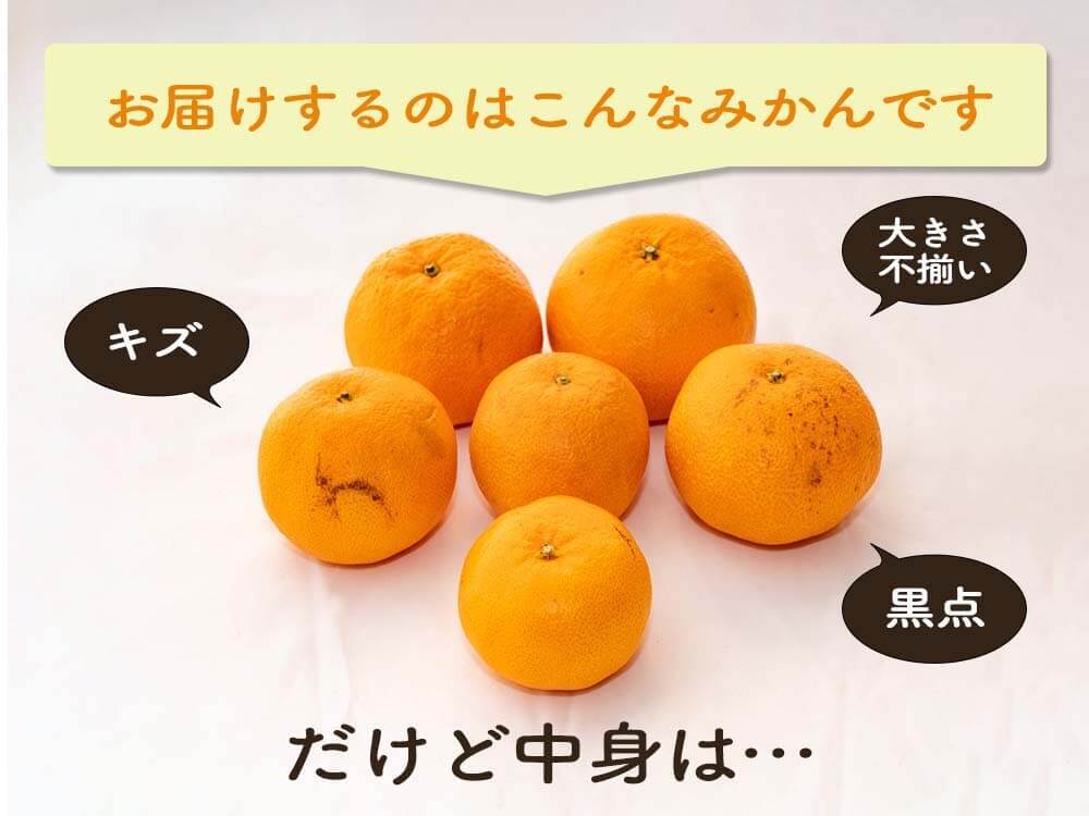 【今季終了】超希少な新品種みかん 西南のひかり 5kg【高知県宿毛市・なるた果樹園】【柑橘】