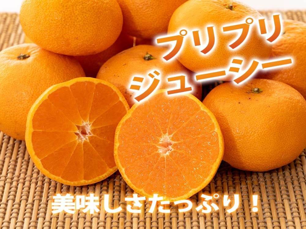 【今季終了】超希少な新品種みかん 西南のひかり 5kg【高知県宿毛市・なるた果樹園】【柑橘】