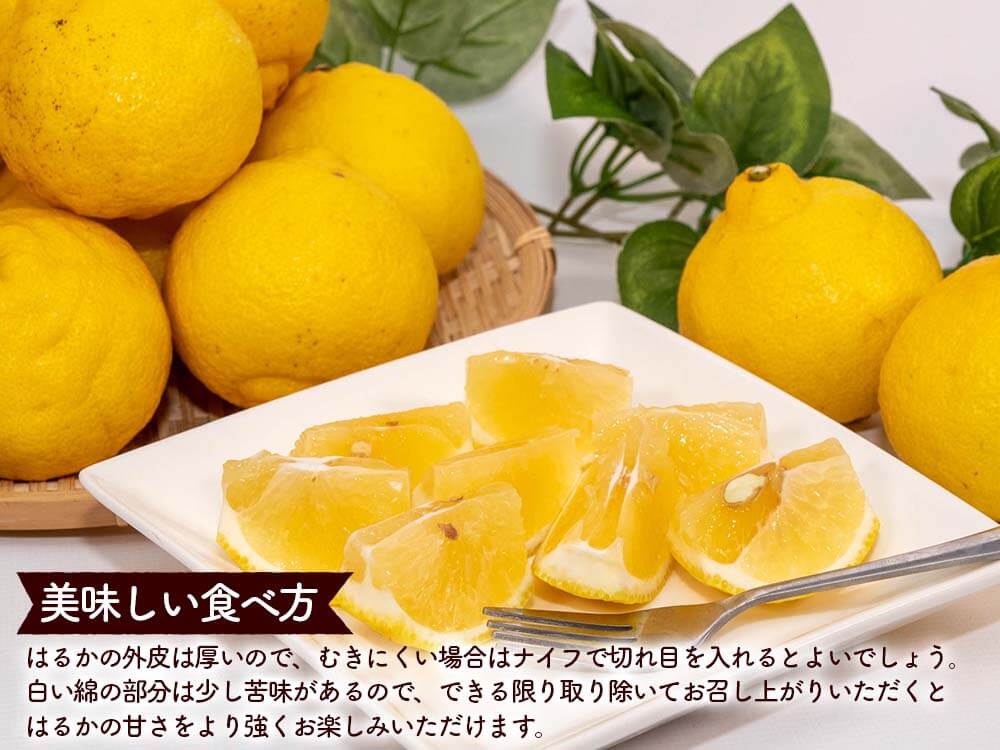 【今季終了】新感覚の甘い柑橘 なるた果樹園「はるか」 3kg【柑橘】