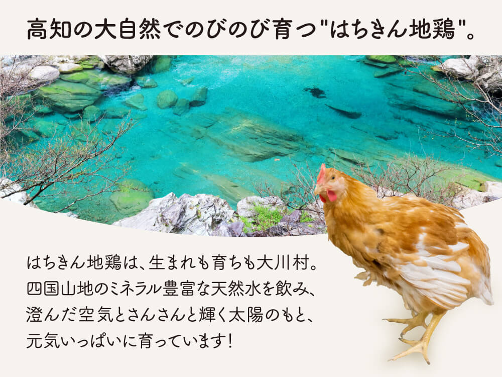 土佐はちきん地鶏(モモ1kg・ムネ1kg合計2kg)セット【お届け日指定不可】