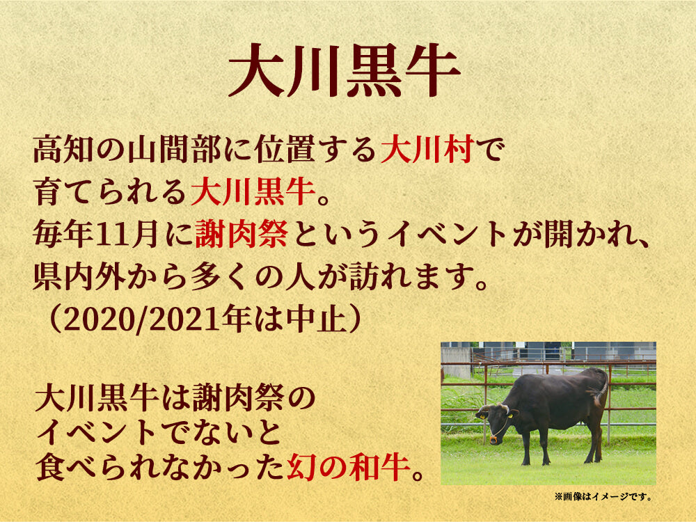 幻の和牛・大川黒牛 ステーキ用サーロイン200g×2枚 【お届け日指定不可】
