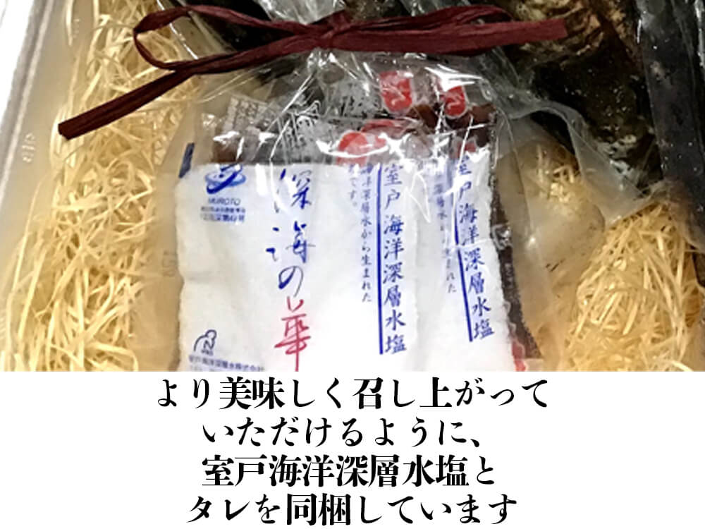 藁焼きカツオのたたき800g以上(タレ・塩つき)【カツオ】
