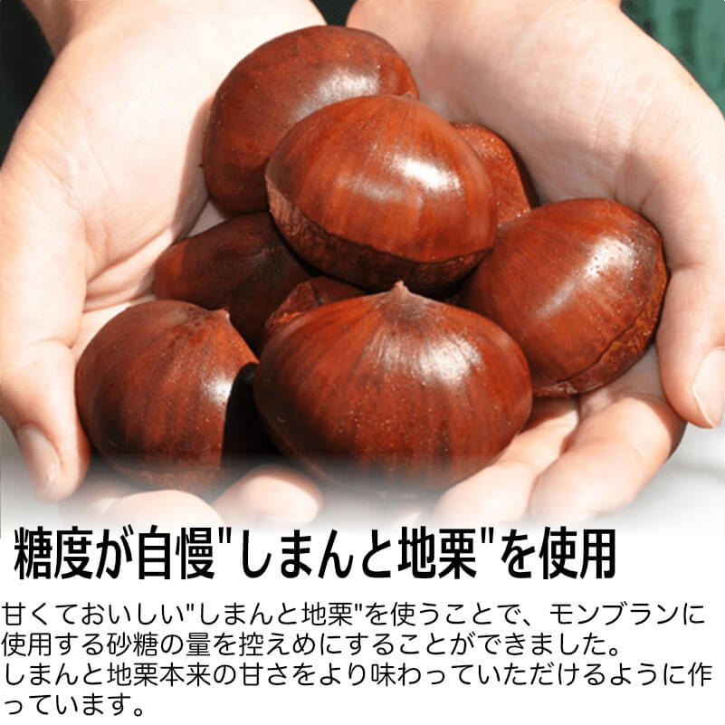しまんと地栗モンブラン9個セット