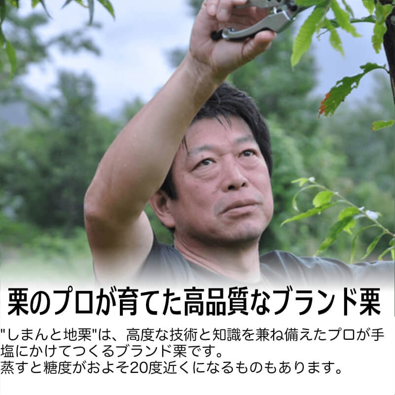 しまんと地栗モンブラン9個セット