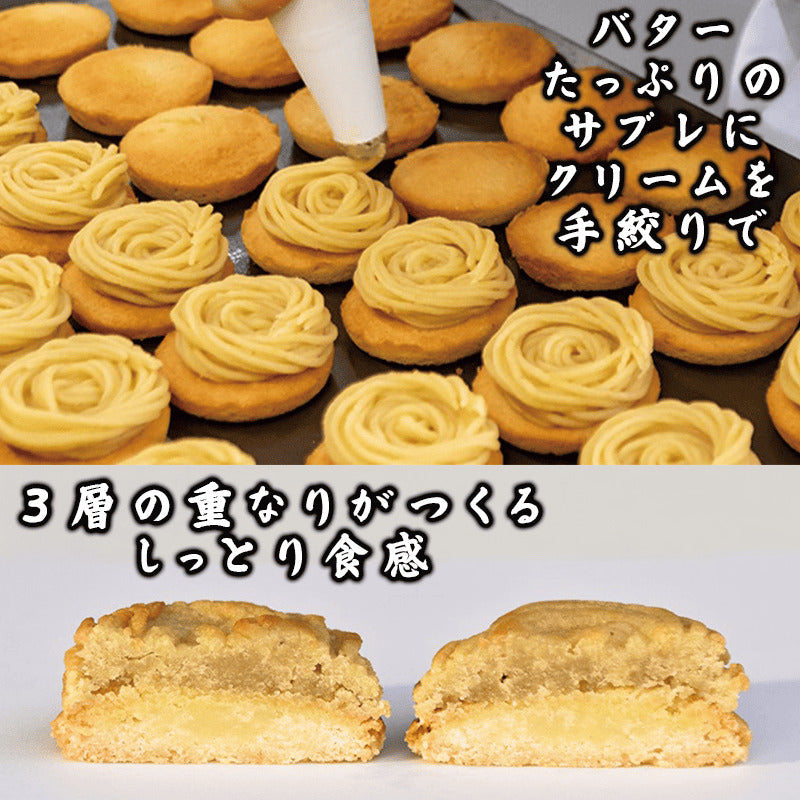 栗と芋の焼きモンブラン12個入り