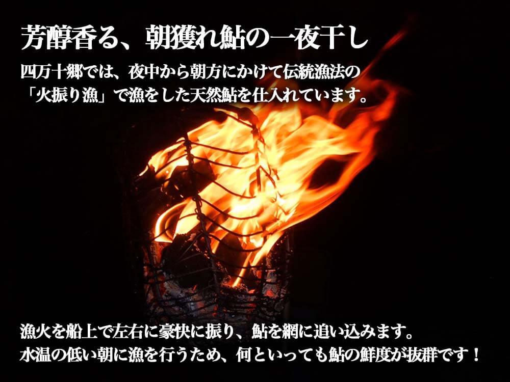 天然鮎【極上】苦うるかと一夜干しセット