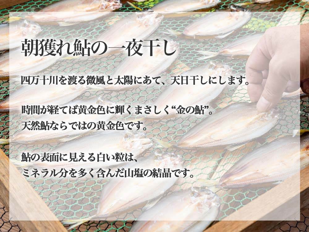 天然鮎【極上】苦うるかと一夜干しセット