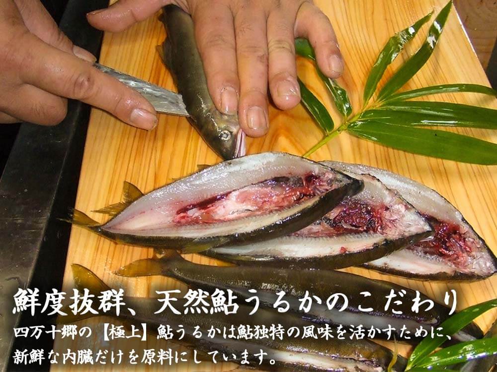 天然鮎【極上】苦うるかと一夜干しセット