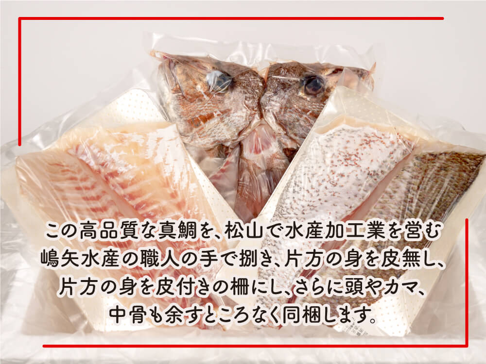 愛媛県宇和島の養殖マダイ「鯛一郎クン」お刺身用【鮮魚】