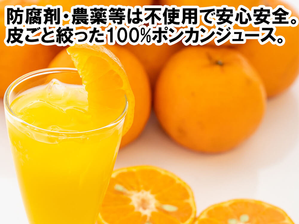 【農薬・防腐剤不使用】無添加有機ポンカンジュース120mlパック×15袋