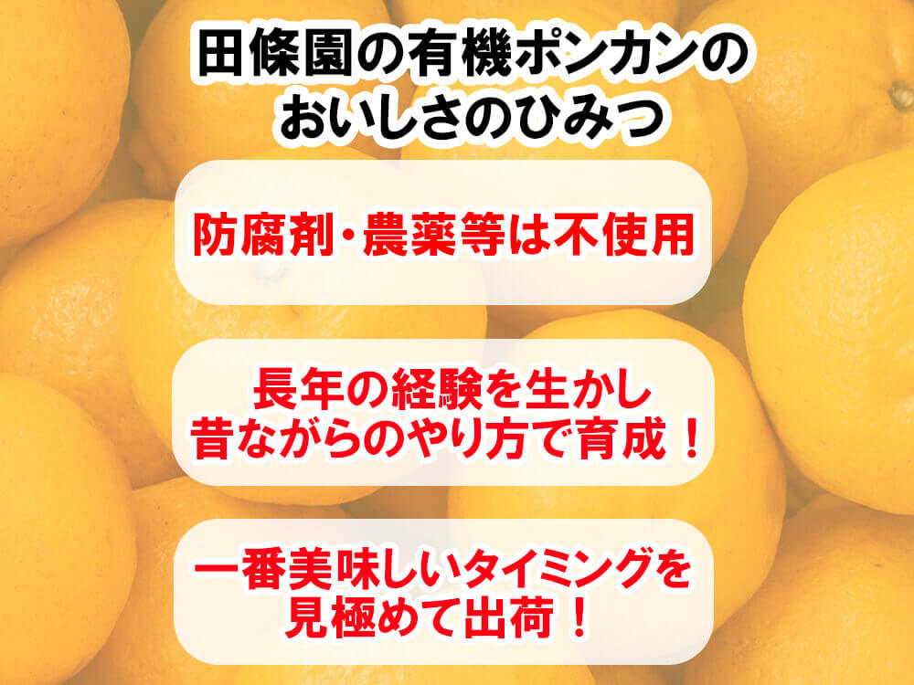 【2月初旬より順次出荷】甘くておいしい有機ポンカン 訳あり5kg【高知県須崎市・田條園】【柑橘】