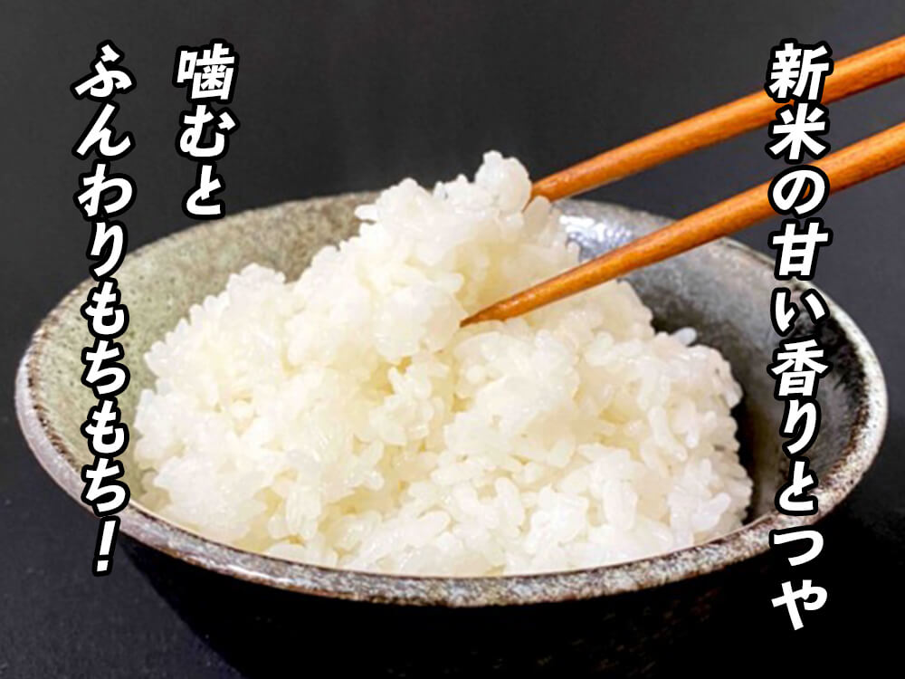 高知県産コシヒカリ 5kg