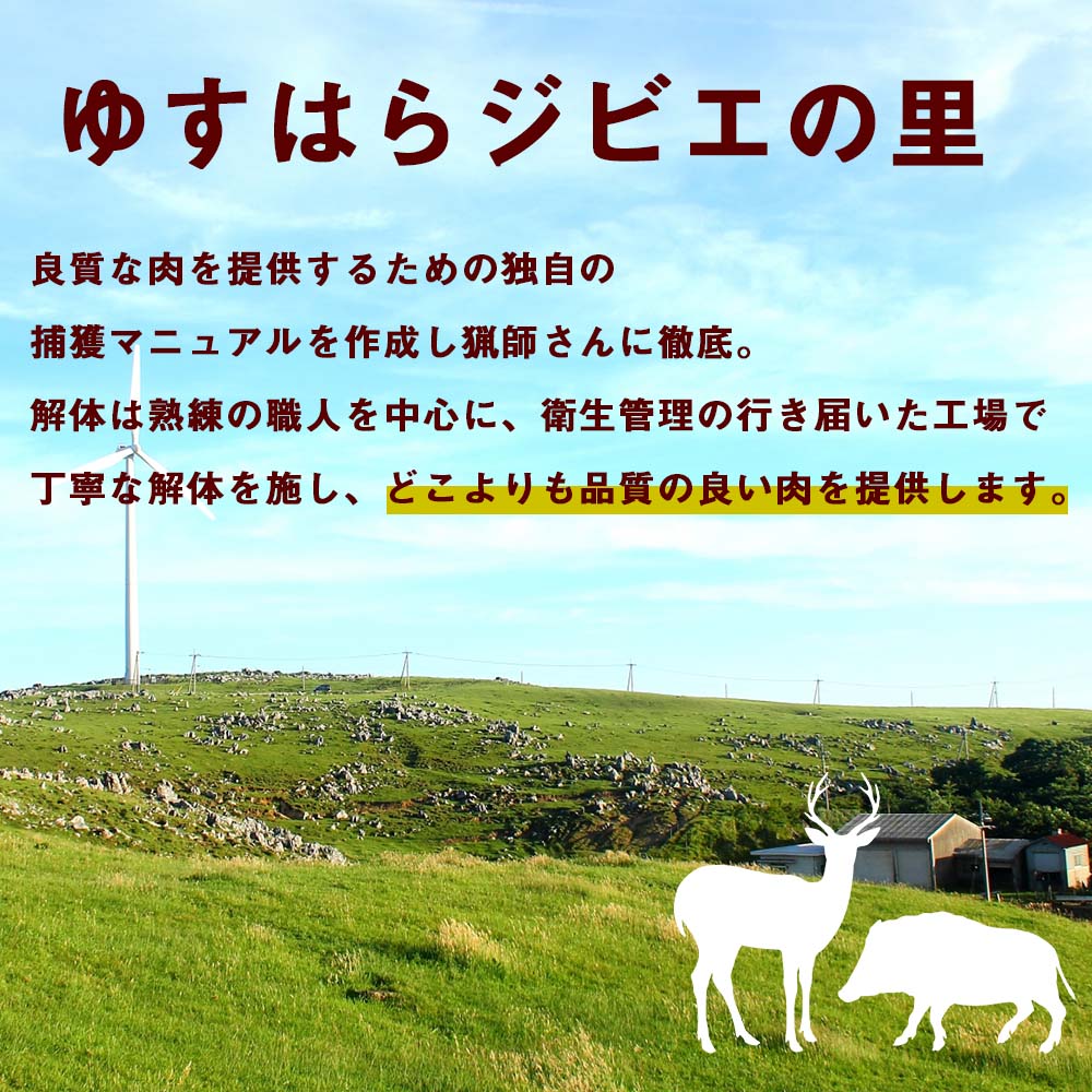 ゆすはらジビエの里 イノシシ 背ロース