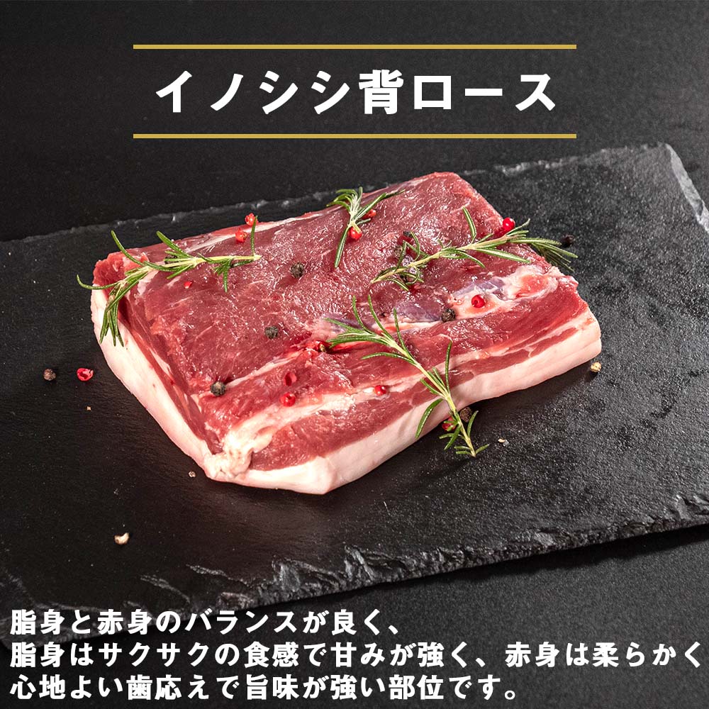 ゆすはらジビエの里 イノシシ 背ロース