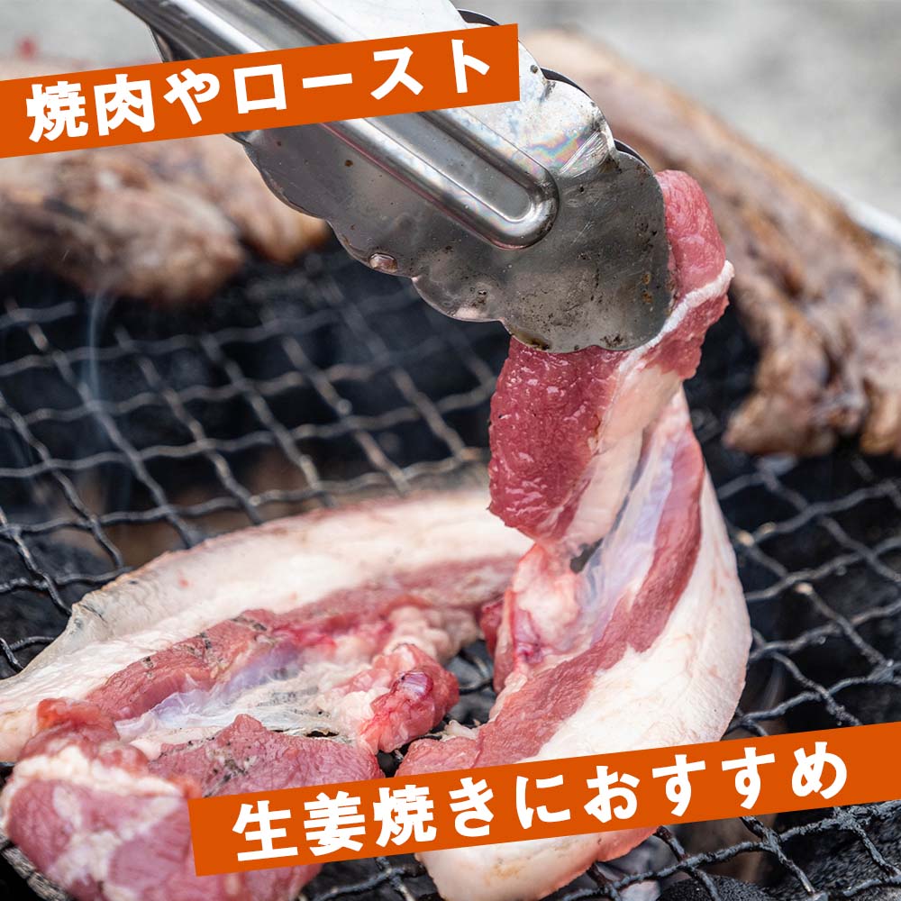 ゆすはらジビエの里 イノシシ 背ロース