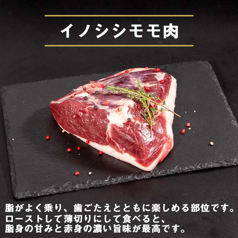 ゆすはらジビエの里 イノシシ モモ肉 500g