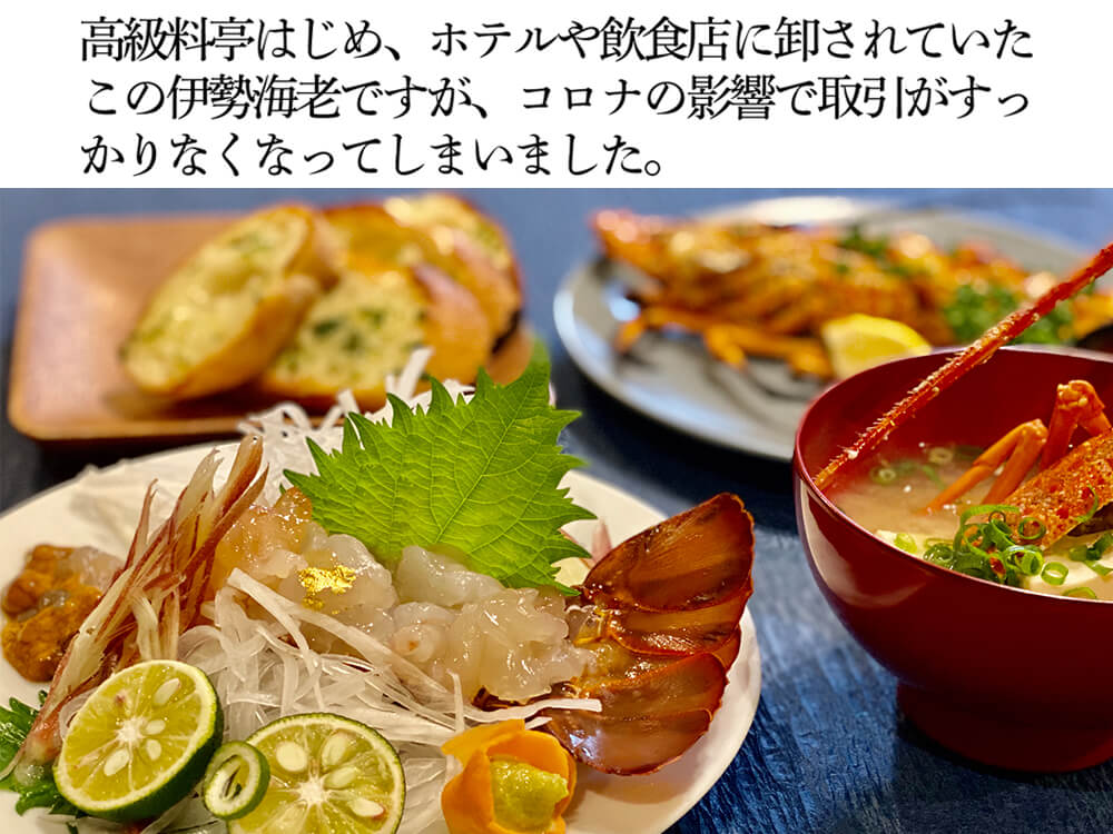 職人吉岡の冷凍伊勢海老 調理のしやすい小さめサイズ(4尾で600g以上)