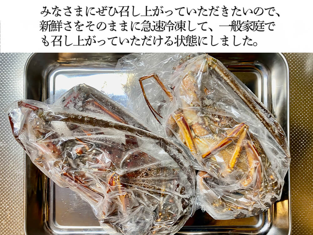 職人吉岡の冷凍伊勢海老 調理のしやすい小さめサイズ(4尾で600g以上)