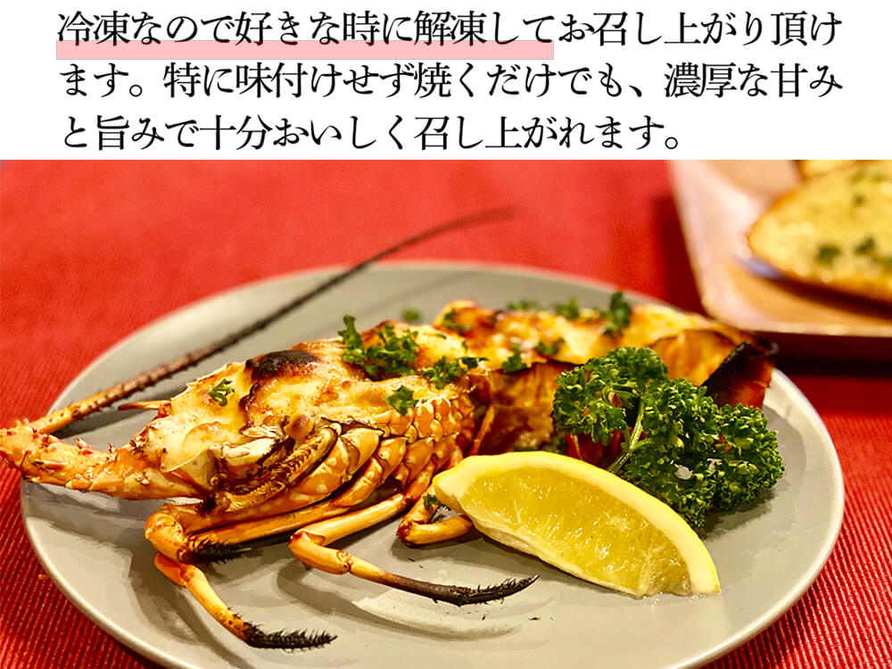職人吉岡の冷凍伊勢海老 調理のしやすい小さめサイズ(4尾で600g以上)