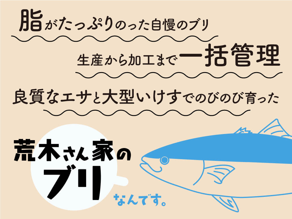 荒木さん家のブリ(皮・カマ付き半身)【鮮魚】【ブリ】