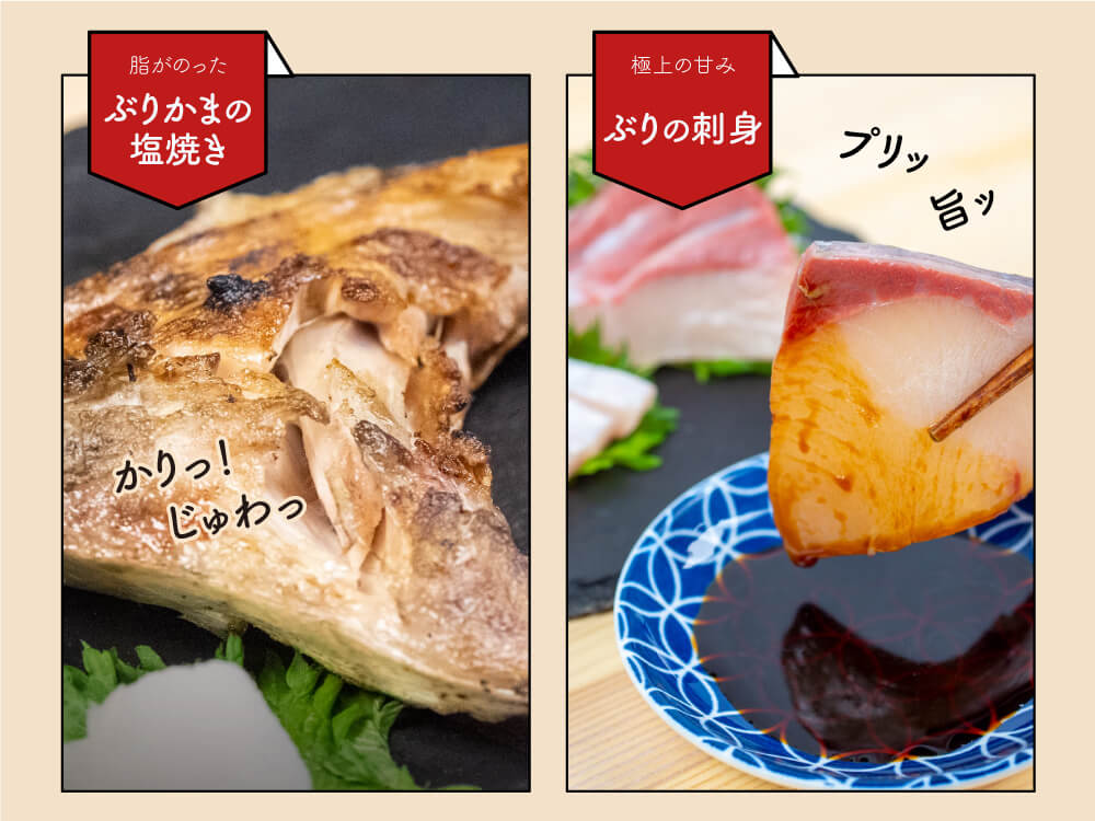 荒木さん家のブリ(皮・カマ付き半身)【鮮魚】【ブリ】