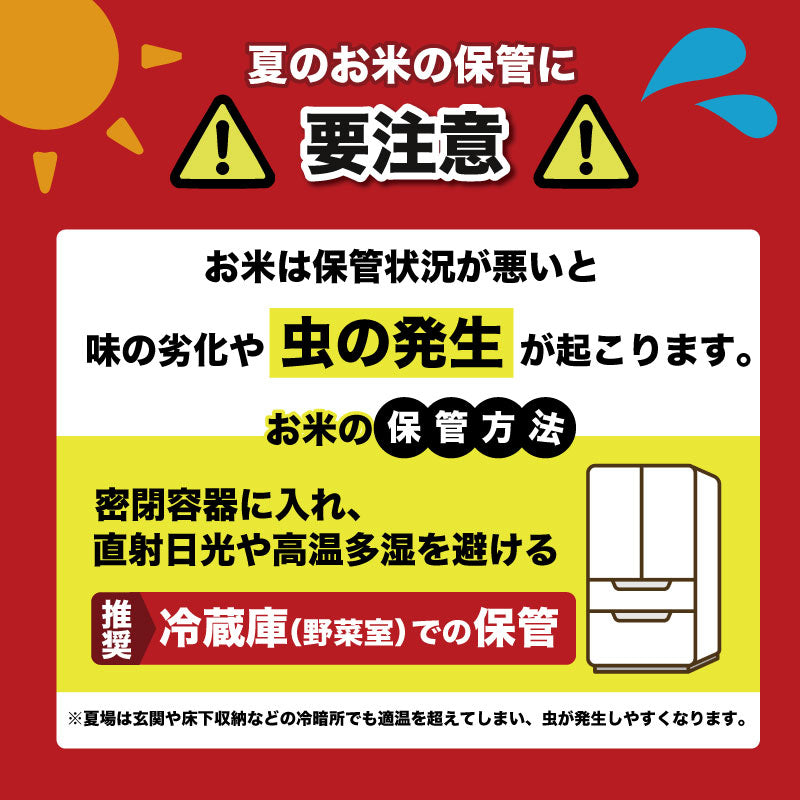 令和8年産 高知県安芸市産 にこまる