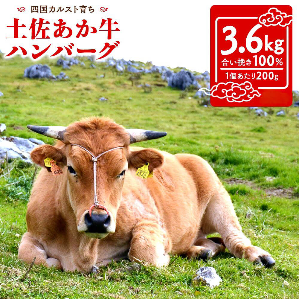 【土佐あかうし】土佐あかうし入りハンバーグ