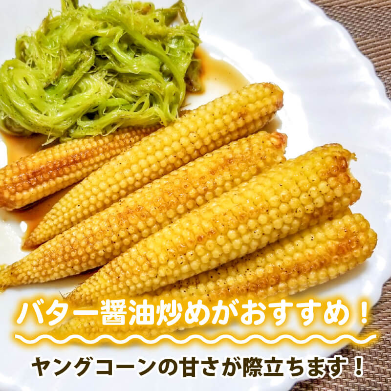 【期間限定・8/16より出荷】高知県・須崎産ヤングコーン 「野獣の一番摘み」