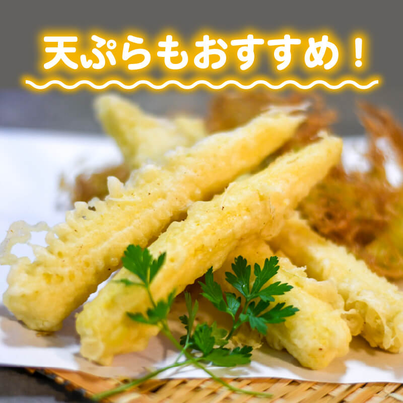 【期間限定・8/16より出荷】高知県・須崎産ヤングコーン 「野獣の一番摘み」