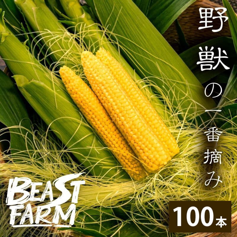 【期間限定・8/16より出荷】高知県・須崎産ヤングコーン 「野獣の一番摘み」